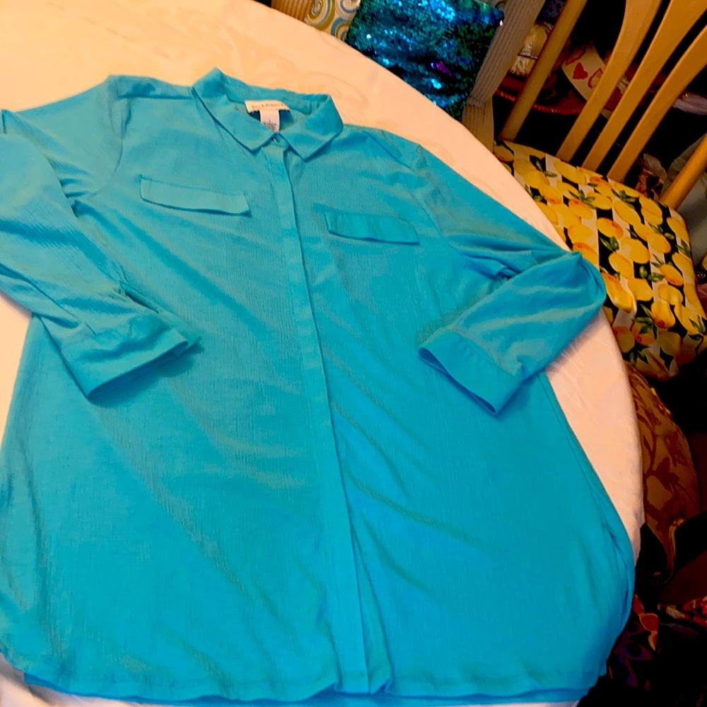Peck peck size large, long sleeve, teal blue button-down blouse